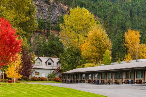 1-HomepageSMLadj 1-HomepageSMLadj